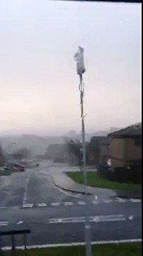 TRAMPOLINE TRAMPOLINE (CRAZY WINDS)