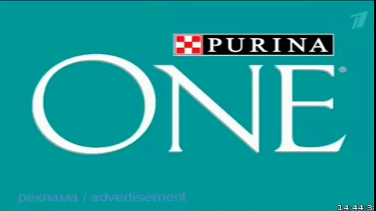 Реклама пурина PURINA  пурина  пурина для кошек...