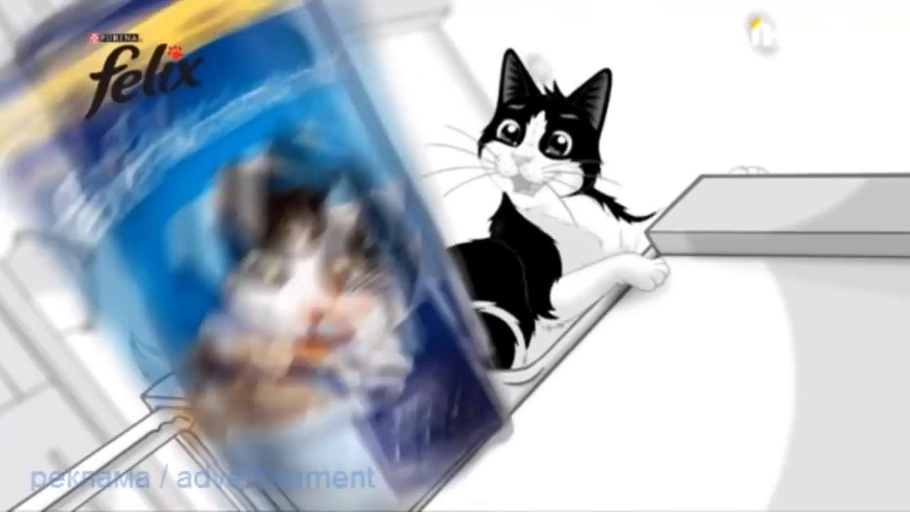 Реклама Феликс  корм Феликс  felix  реклама кор...
