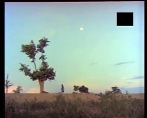 Antha Nilava Than | Muthal Mariyathai | Tamil Film Song | Cinema Junction