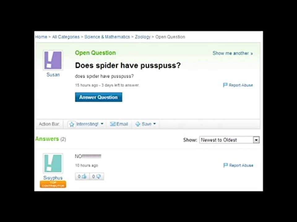 Does spider have pusspuss?