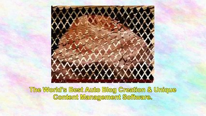 Auto Blog Samurai Software Suite *$15k Cash Prizes* By Paul Ponna