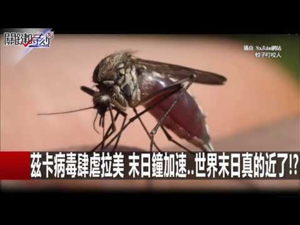 茲卡病毒肆虐拉美 末日鐘加速..世界末日真的近了!? 黃創夏 陳耀寬 朱學恒 20160129-4 關鍵時刻