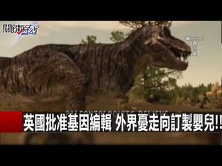 英國批准基因編輯 外界憂走向訂製嬰兒!! 黃創夏 陳耀寬 傅鶴齡 關鍵時刻 20160202 7