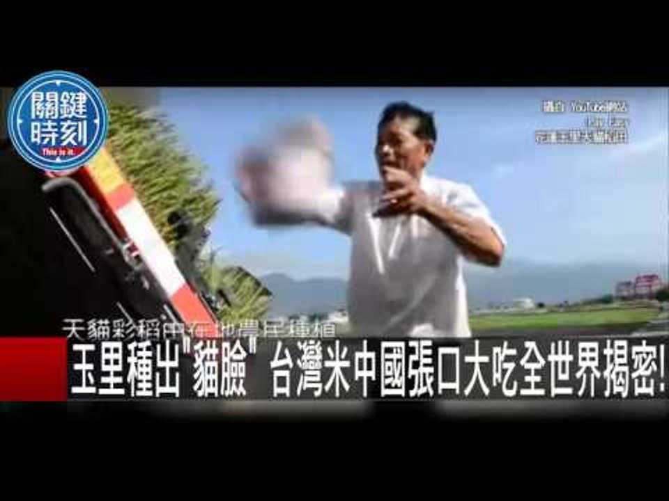 玉里種出"貓臉" 台灣米中國張口大吃全世界揭密! 朱學恒 20151020-1 關鍵時刻