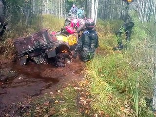 Квадроциклы в тайге и болотах