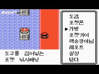 양띵TV후추[포켓몬 후레이너 포켓몬 마스터가 될거야 - 10 통신진화!! 포켓몬스터 골드버전]