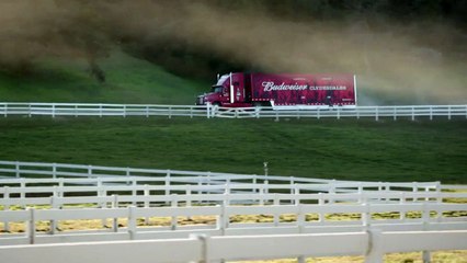 Budweiser - Brotherhood Super Bowl Commercial