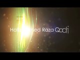 Hafiz Ahmed Raza Qadri - Aaya Hai Tera Diwana - Mera Koi Nahi Hai Tere Siwa 2015