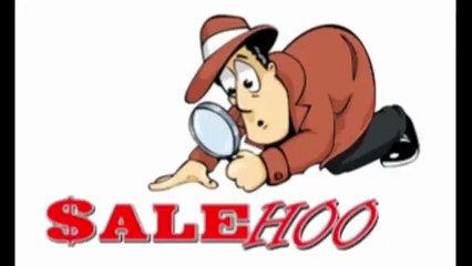 Salehoo Review & Special Offer | My Honest Salehoo Review