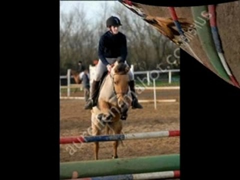 Mes blondes et leurs dada