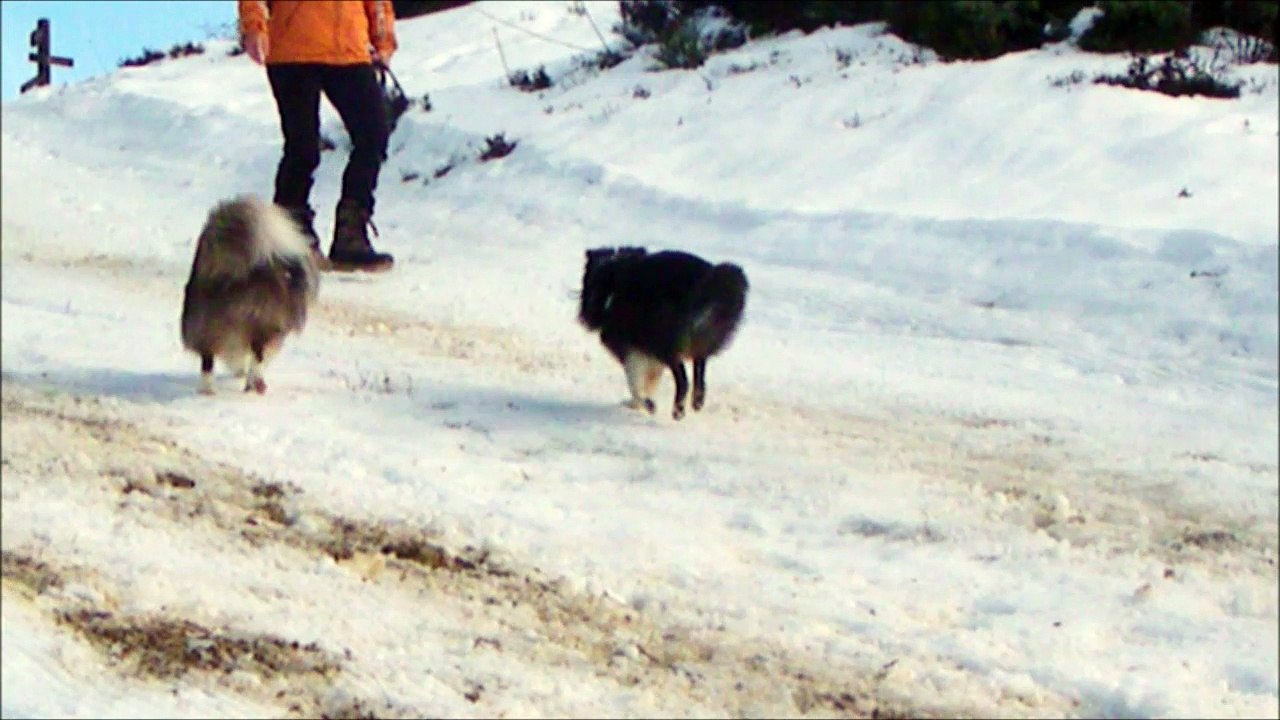 2016.01.22  et 23 - Guzet les vacances se poursuivent