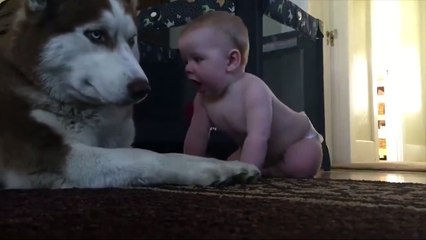 سكس عربي