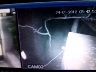 Paranormal Activity at the home