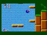 Gameplay Sonic the Hedgehog (Master System) Jungle ACT2