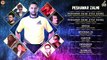 Peshawar Zalmi - Full Songs Jukebox - Pakistan Super League (PSL) - Shahid Afridi