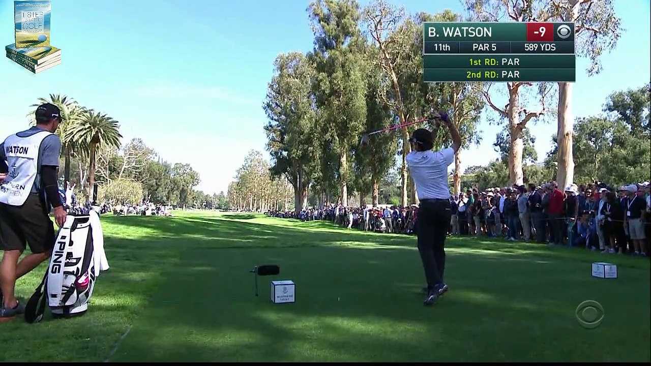 Bubba Watsons Wonderful Golf Shots 2016 Northern Trust PGA Tour