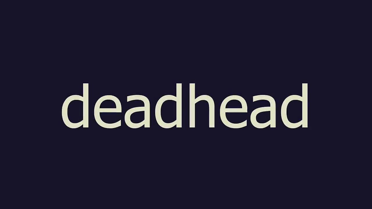 deadhead meaning and pronunciation video Dailymotion