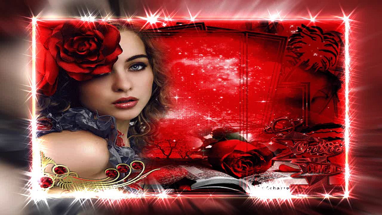 Frank Boysen - Manchmal in der Nacht  - Coverversion - Ireen Sheer