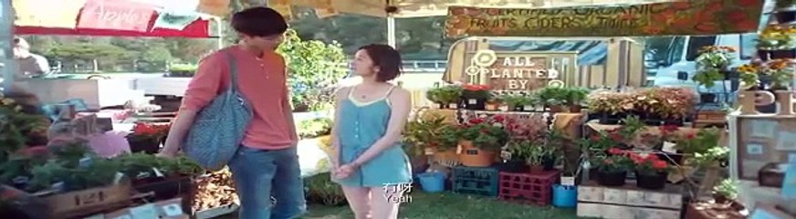 陪安东尼度过漫长岁月.Les.Aventures.d'Anthony.2015