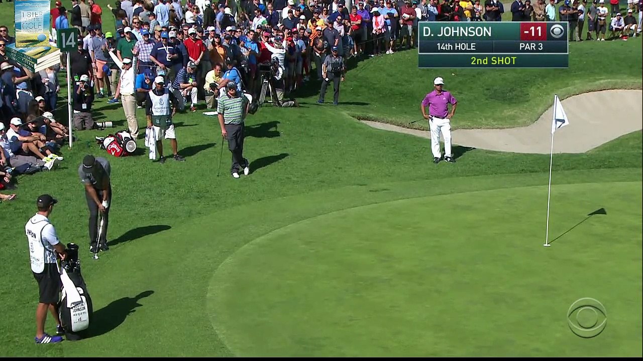 Top 12 Worst Golf Shots 2016 Northern Trust PGA Tour
