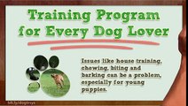 Training Program for Every Dog Lover (((*The Dog Training System is a Fast and Effective*))