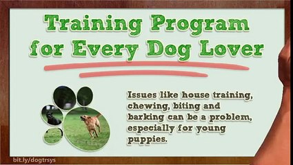 Training Program for Every Dog Lover (((*The Dog Training System is a Fast and Effective*))