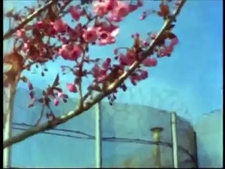 1983 Maze Prison Escape | Full Documentary HD