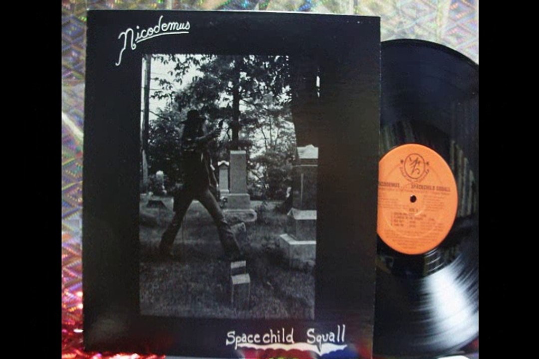 Nicodemus  "Flowers In The Cracks"  1977 US Private Acid Folk.