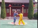 Técnicas de Chin Na de Kung Fu