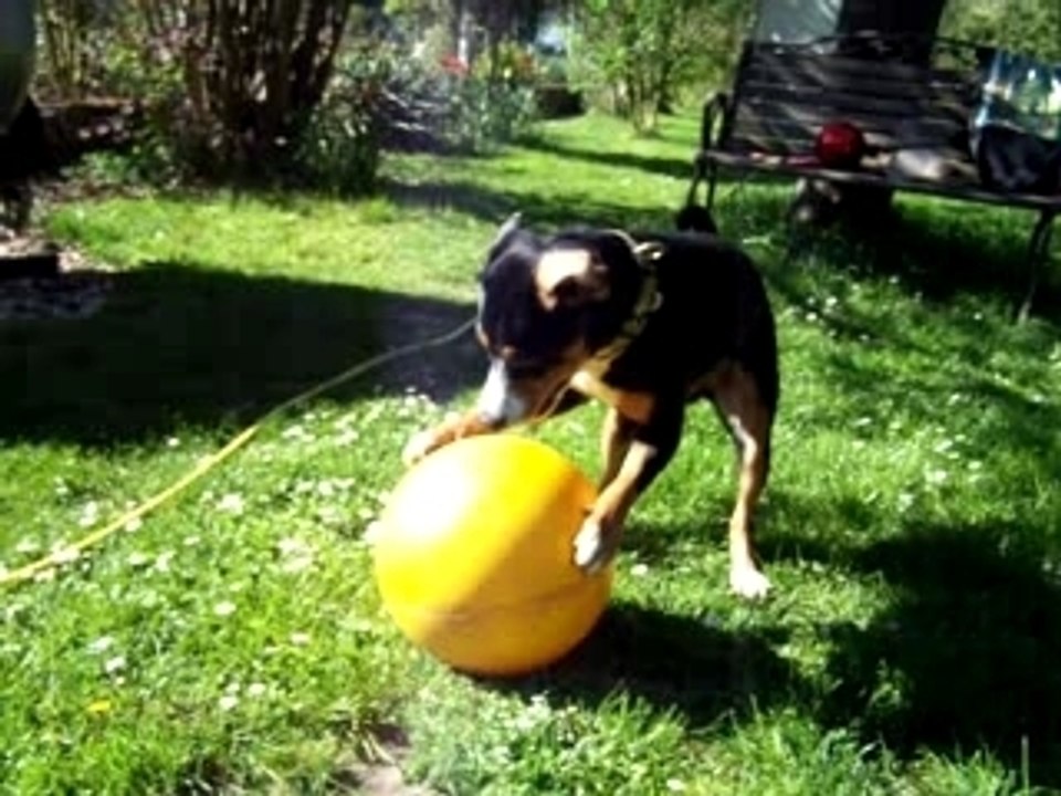 Rica und ihr Schweinchen