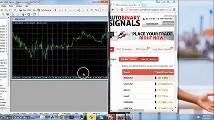 Auto Binary Signals/Binary Brainwave