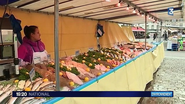 Environnement : les sacs plastiques obtiennent un sursis