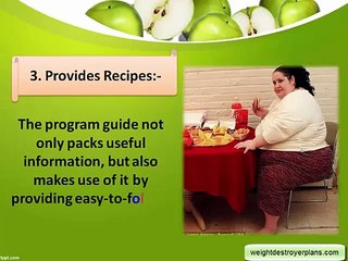 Weight Destroyer Program By Michael Wren Review