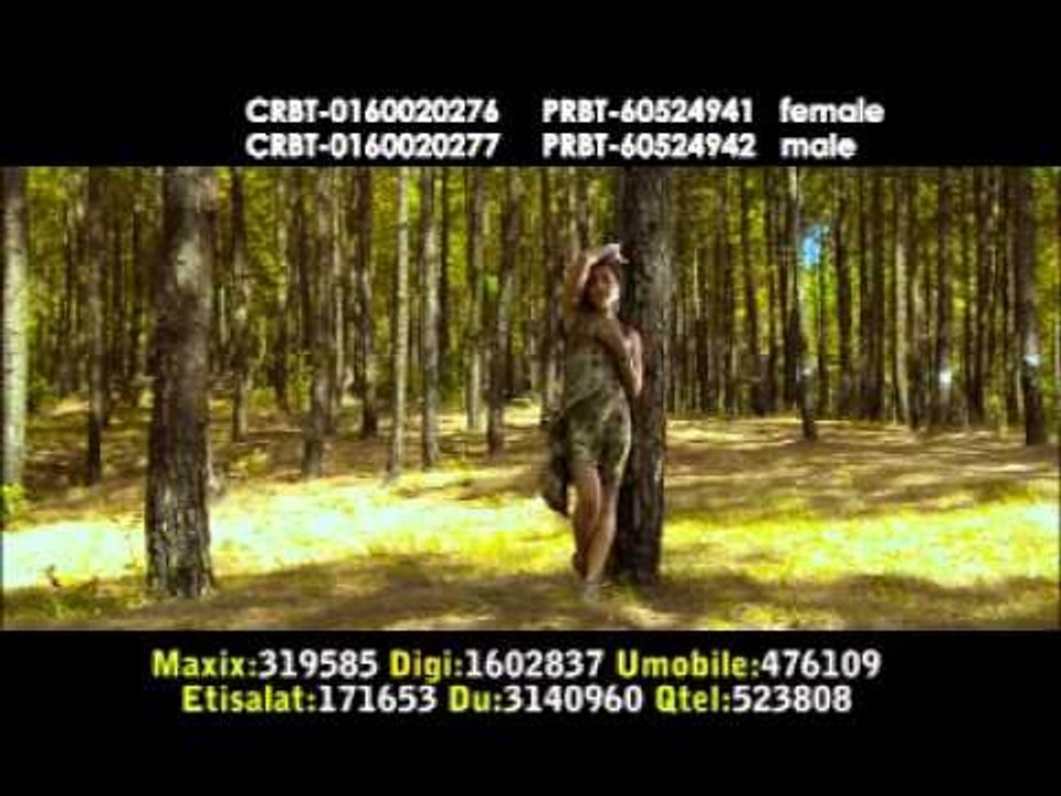 Bichod Ko Ghau | Basanta Lamsal and Pavitra | Basuri Music