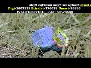 Daune Dumkibash | Arjun Khadka & Uma Bhujel | Basuri Music