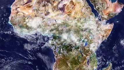 The Zika virus, explained