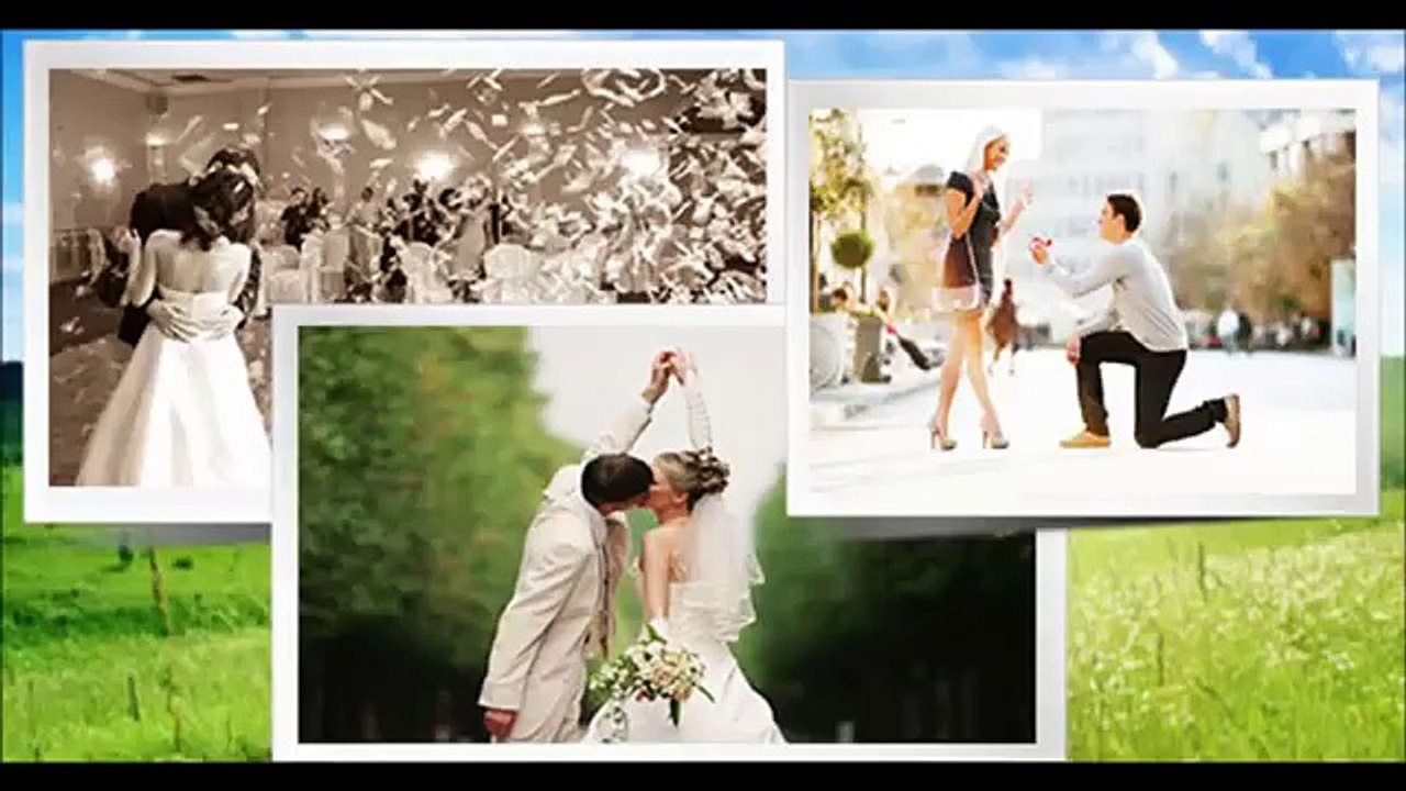 Penguin Method Review  Best Online Dating Advice For Both Men And Women