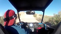 Polaris RZR 1000 Razor First Ride with Bichon Frise Dog