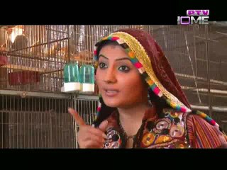 Dasht-e-Tanhai Episode 17 on Ptv Home