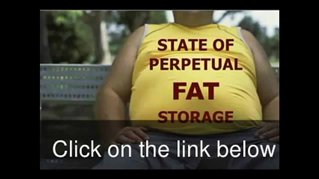 Primal Burn Fat Burner System How it works?