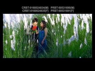 Phool Le Irshya Garla | Mousam Gurung & Purnakala BC | Shital Shijan Digital
