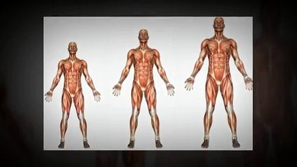 Grow Taller 4 Idiots Review - Does It Really Work?