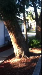 Insane Fire Hydrant Crash