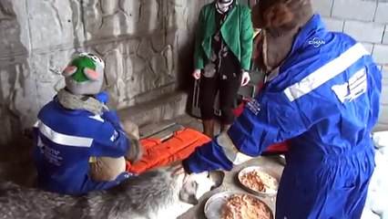 Bitlis’teki köpeklere soğuğa karşı elbiseli koruma