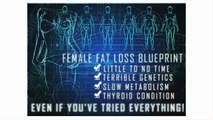 The Venus Factor 12 week fat loss system