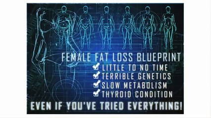 The Venus Factor 12 week fat loss system