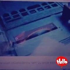 Teds Woodworking|Scam or Not |Watch BEFORE You Buy!