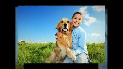 What are the Secrets Revealed in "Dog Food Secrets"?