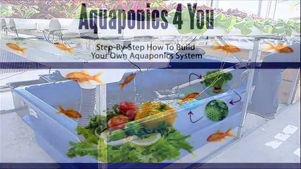 [AQUAPONICS SYSTEM DESIGN GROWING POWER]  "AQUAPONICS 4 YOU"  HOW DOES IT WORK !!